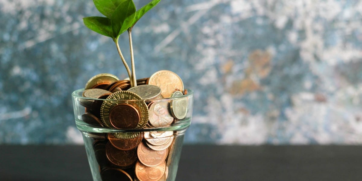 plant growing from coins symbolizing healthy business finances